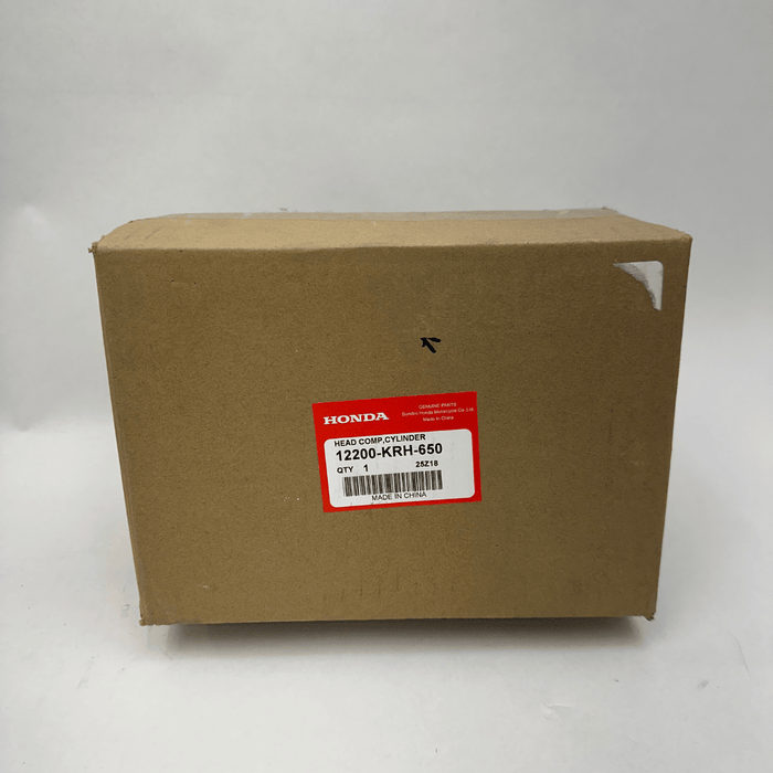 OEM Yamaha Complete Fuel Pump - '09-'15 Zuma 125