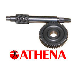 Athena Final Drive Gear '89-'01